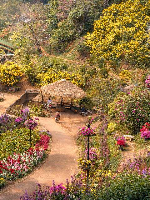 Doi Inthanon Day Trip (Short trip)